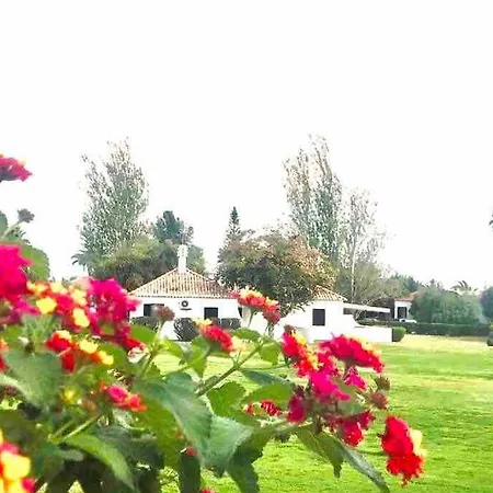 Cozy House Tatil Evi Pedras de El-Rei